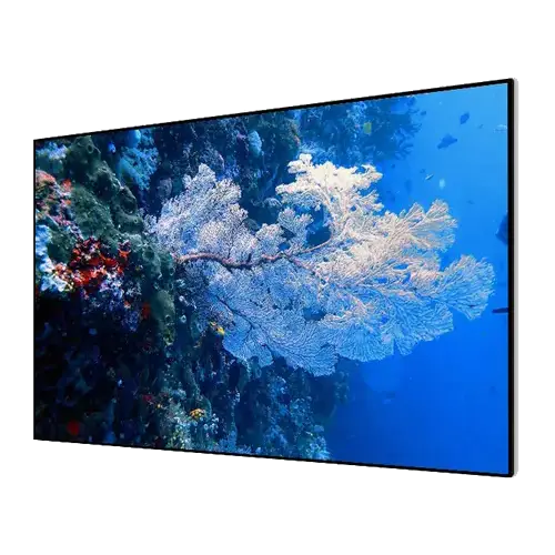 Экраны для проектор